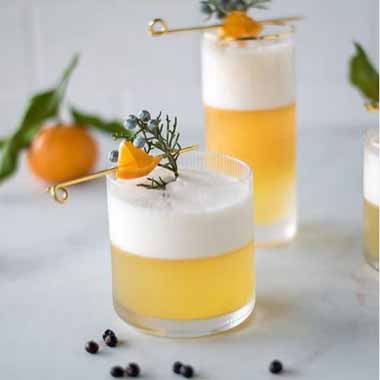 Juniper Tangerine Gin Fizz Custom Cocktail